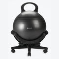 Ultimate Balance Ball Chair