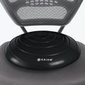 Balance Disc